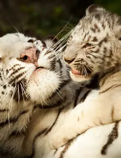 Zoo de Pessac Bordeaux