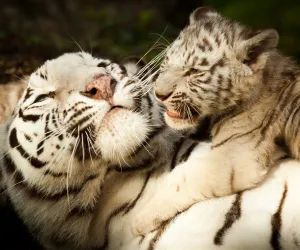 Zoo de Pessac Bordeaux