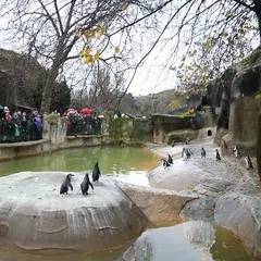 Zoo de Vincennes