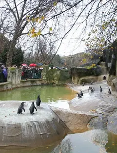 Zoo de Vincennes