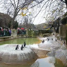 Zoo de Vincennes
