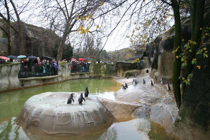 Zoo de Vincennes à Paris
