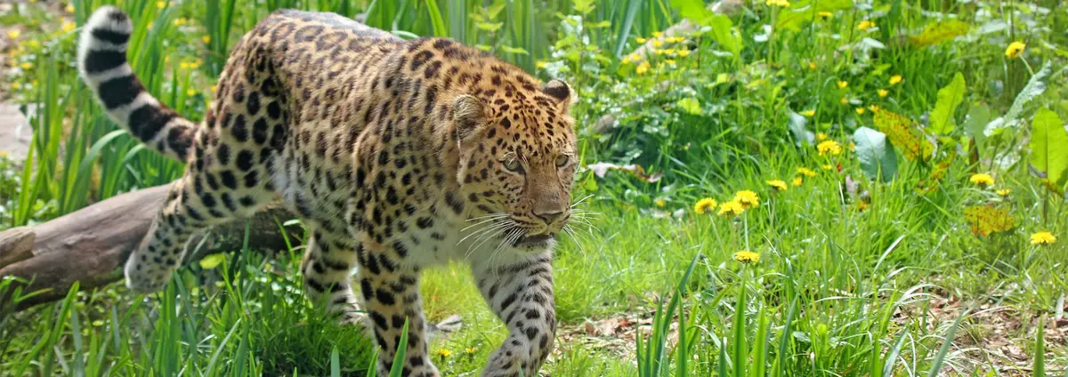 Zoo des Sables d'Olonne