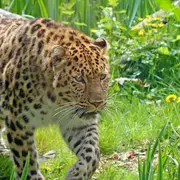 Zoo des Sables d'Olonne