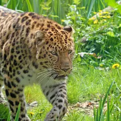 Zoo des Sables d'Olonne
