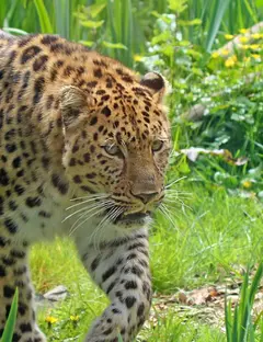 Zoo des Sables d'Olonne
