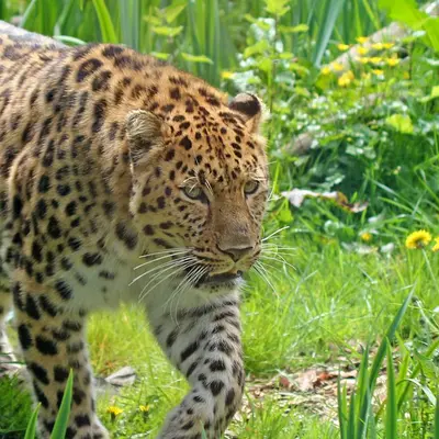 Zoo des Sables d'Olonne