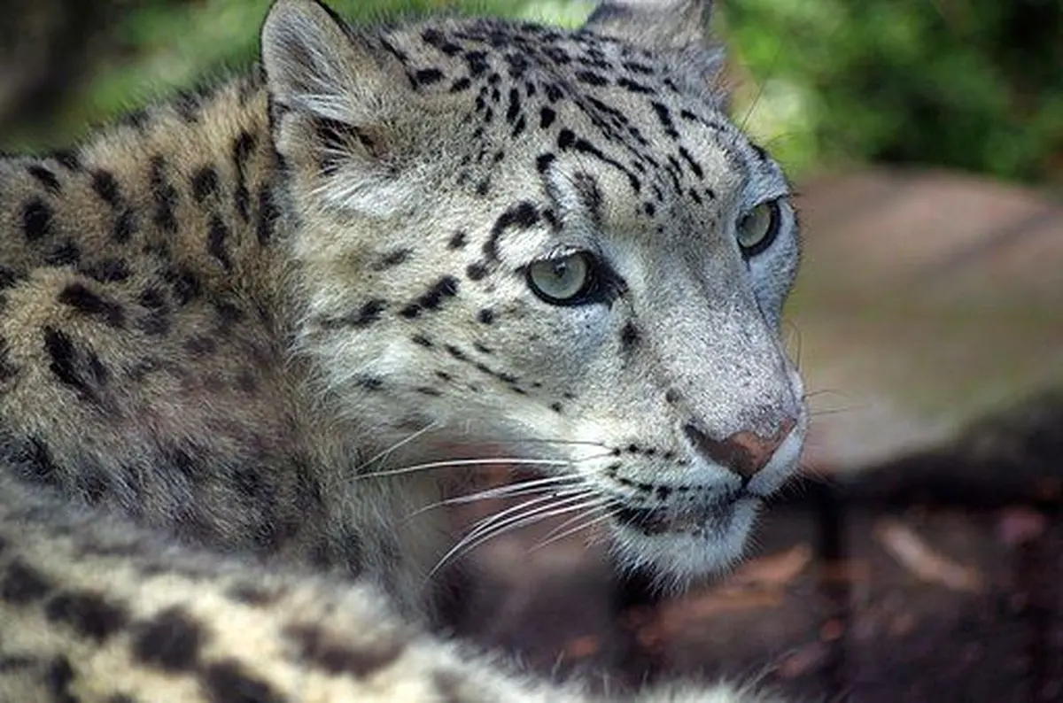 Zoo du Jardin des Plantes