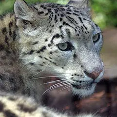 Zoo du Jardin des Plantes