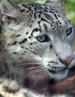 Zoo du Jardin des Plantes