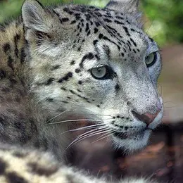 Zoo du Jardin des Plantes