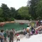 Zoo de Mulhouse&nbsp;: le bassin des otaries &copy; jds