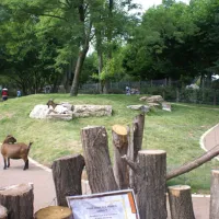 Zoo de Mulhouse&nbsp;: le mini-zoo pour enfants DR