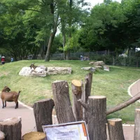 Zoo de Mulhouse : le mini-zoo pour enfants DR