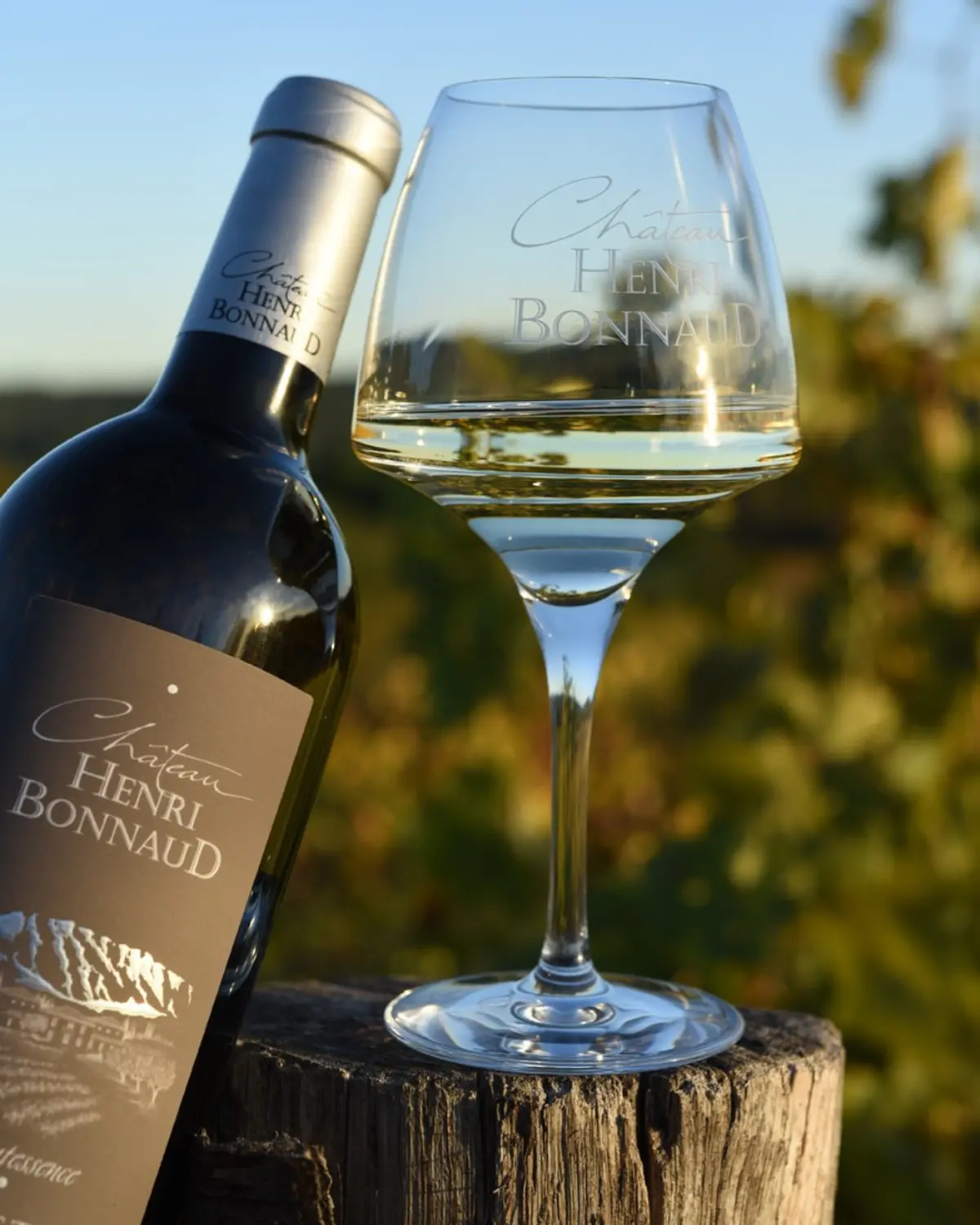 Zoom sur AOC Palette - Cuvée Quintessence  au Château Henri Bonnaud