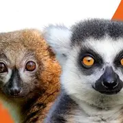 ZooParc de Trégomeur