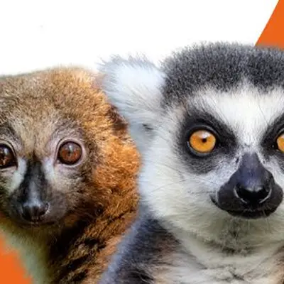 ZooParc de Trégomeur