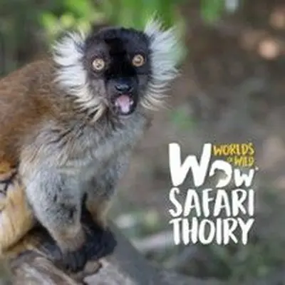 Au plus près des animaux au Wow Safari Thoiry