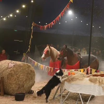 Zusammen - cirque théâtre équestre sous chapiteau à Wesserling